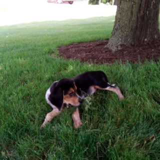 Lexi - Image 3